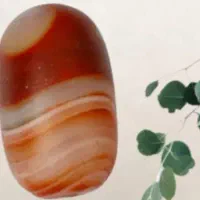 سرکتاب هاشمی