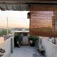 توس ۴۱ حضرت حجت