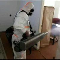 سمپاشی سوسک وساس دریک مرحله صددرصد تضمینی