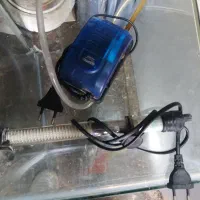 اکواریم شرکتی ضخیم|ماهی|سلمان‌شهر, |دیوار