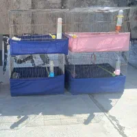 چهار عدد قفس  ۵۲