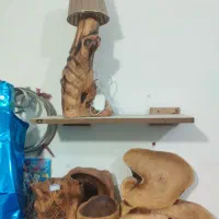 صنایع دستی چوب|مجسمه، تندیس، ماکت|ایرانشهر, |دیوار
