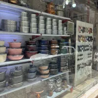 نیروی کار خانم یا اقا