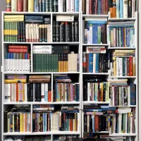 صنایع چوب|کتابخانه، شلف، قفسه‌های دیواری|اصفهان, خانه اصفهان|دیوار