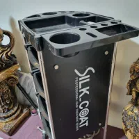 صندلی اپن|صندلی و نیمکت|دوگنبدان, |دیوار