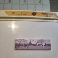 یخچال فریزر الکترواستیل