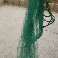 تور ماهیگیری