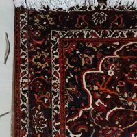 بختیار گوشتدار شور رفته|فرش|کرج, ساسانی (قلمستان)|دیوار