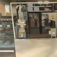 فروش تجهیزات و وسایل قصابی|فروشگاه و مغازه|ری, سیزده آبان|دیوار