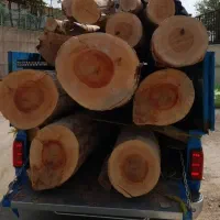 خرید انواع چوب ومو