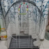 قفس