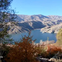 زمین مسکونی