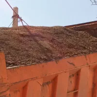 فروش انواع کود حیوانی|خدمات باغبانی و درختکاری|تهران, خاک سفید|دیوار