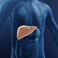 اهدا و راهنمایی در مورد کبد