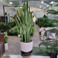 گلخانه بهشت جاده ب توحید روبروی استخر انتظام