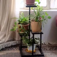 استند گل.جا گلدونی