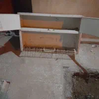 سلام آبچکان سالم وتضمینی بدون پوسیدگی فروشی|آب‌چکان و نظم‌دهنده ظروف|زابل, |دیوار