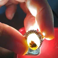 انگشتر نقره شجر