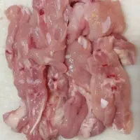 بچه فیله مرغ