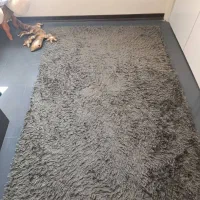 فرش تدی و پادری