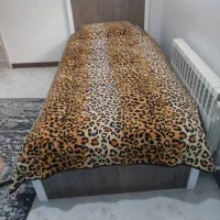 تخت، کتابخانه ،پایتختی|کتابخانه، شلف، قفسههای دیواری|گلبهار, شهر جدید گلبهار|دیوار