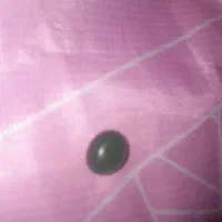 نگین انگشتر ،فیروزه، عقیق،ّیشم و