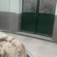 اجرای پیمانکاری ساختمانی برازجان