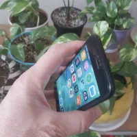 iPhone 7|موبایل|کرج, باغستان|دیوار
