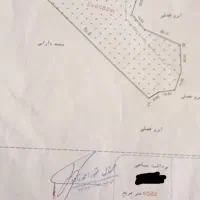 زمین کشاورزی