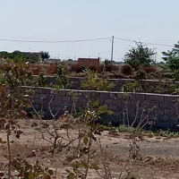 فروش زمین ۷۰۰ متری کشاورزی|فروش دفتر صنعتی، کشاورزی، تجاری|کاشان, دانشگاه|دیوار