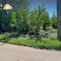 فروش زمین باغی با سند قطعی در روستای شکارسرا رشت|فروش زمین و ملک کلنگی|کوچصفهان, |دیوار
