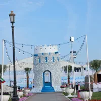 اسب|اسب و تجهیزات اسبسواری|میناب, |دیوار