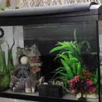 آکواریوم شرکتی با وسایل