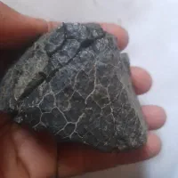 شهاب سنگ|کلکسیون اشیاء عتیقه|زاهدان, |دیوار