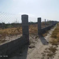 1000-متر-زمین-باغ-تنکمان-جای-خوب