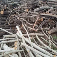 خرید و فروش چوب کلی و نیسانی