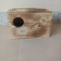 لانه ی عروس هلندی