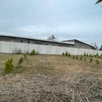 فروش-زمین-شهرکی-ساحلی-100-متری-سرخرود