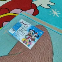 گلیم فرش کودک6متری