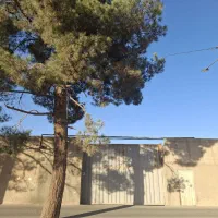 فروش ملک صنعتی|فروش دفتر صنعتی، کشاورزی، تجاری|احمدآبادمستوفی, |دیوار
