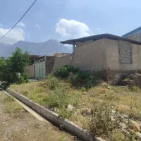 فروش گاوداری 10راسی