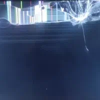 تلویزیون جی پلاس