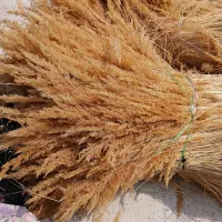 کار در منزل خانه کار طبیعت گل