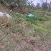 دویست پنجاه هشت مترزمین محدوده شهرروستا