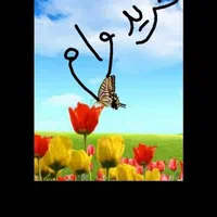 وام