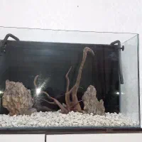 کمد دراور|جاکفشی، کمد، دراور|اردبیل, |دیوار