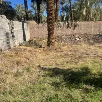 زمین بلوار امام -معلم