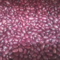 لوبیا قرمز|خوردنی و آشامیدنی|تهران, دکتر هوشیار|دیوار