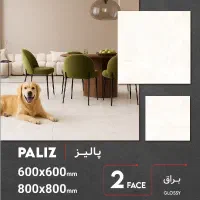 کاشی و سرامیک/اقساطی/نقدی و اعتباری/ارزان/عمده|مصالح و تجهیزات ساختمان|ساری, |دیوار