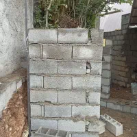 نیروی کار